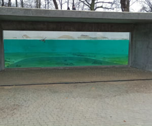 Pingwiny wróciły do łódzkiego zoo!