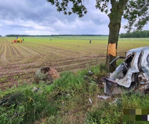 Jatwieź Duża. Wypadek: Kierowca renault rozbił się na drzewie [ZDJĘCIA]