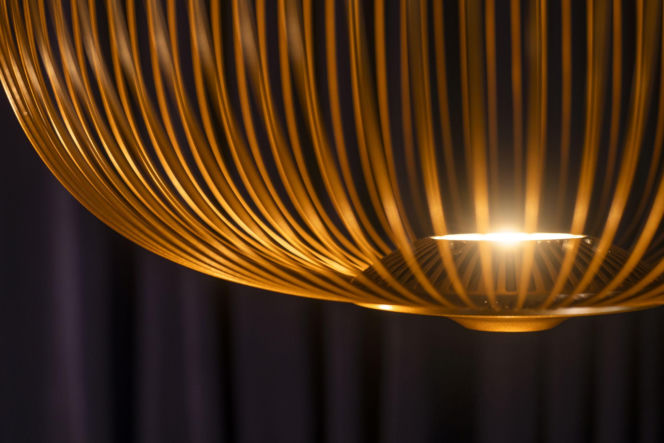 TRIBE Krakow Old Town