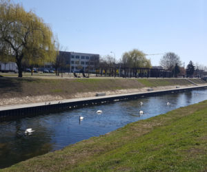 Bulwary Czarnej Przemszy w Będzinie