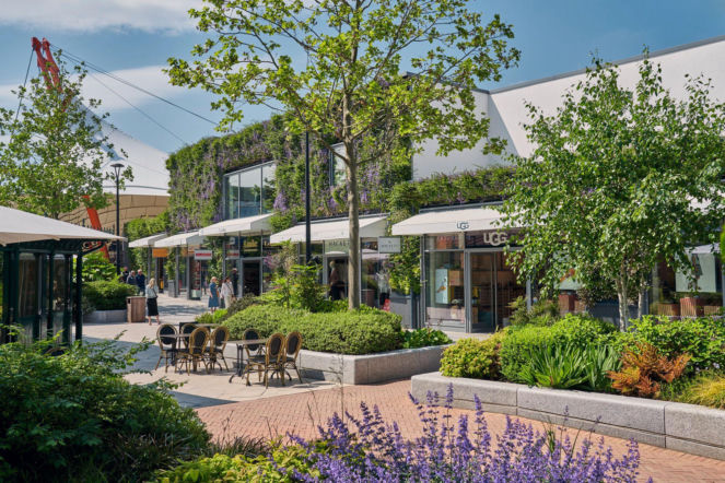 Zielone fasady odmieniają miasta