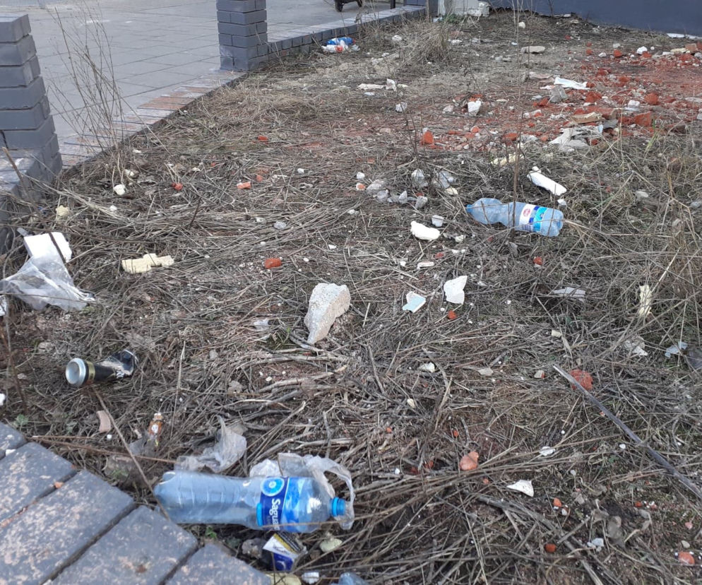  Czas na solidne, pozimowe sprzątanie Łodzi!