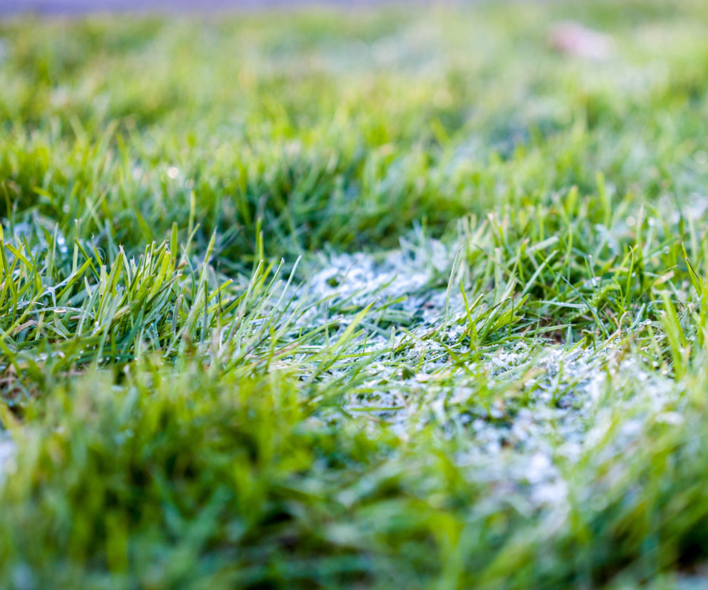 Alarm meteorologów! TAK ZIMNO nie było dawno!! [OSTRZEŻENIE IMGW 19.04, PROGNOZA POGODY NA NIEDZIELĘ]