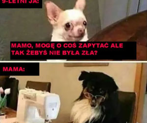 Memy z mamą w roli głównej 