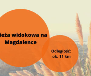 Majówka 2022: Gdzie na szybka wycieczkę z Rzeszowa? Ciekawe atrakcje 