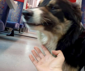 O Klarze, która jeździła koleją