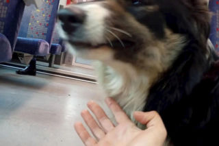 O Klarze, która jeździła koleją