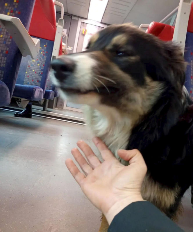 O Klarze, która jeździła koleją