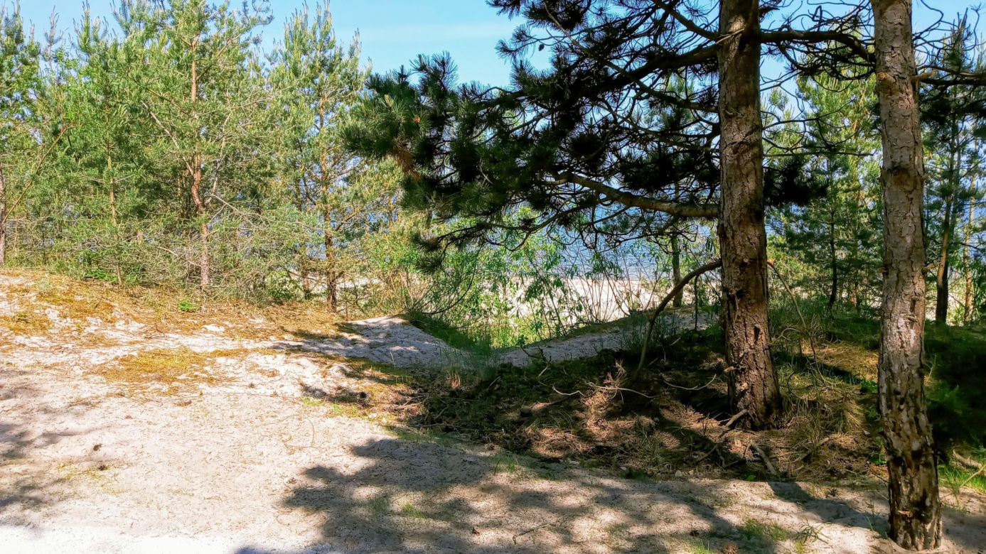 Rowerzyści kontra naturyści. Słynna naga plaża przestanie istnieć?