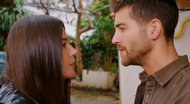 Miłość i nadzieja, odcinek 355. Zeynep, Cihan