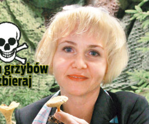 Tych grzybów nie zbieraj