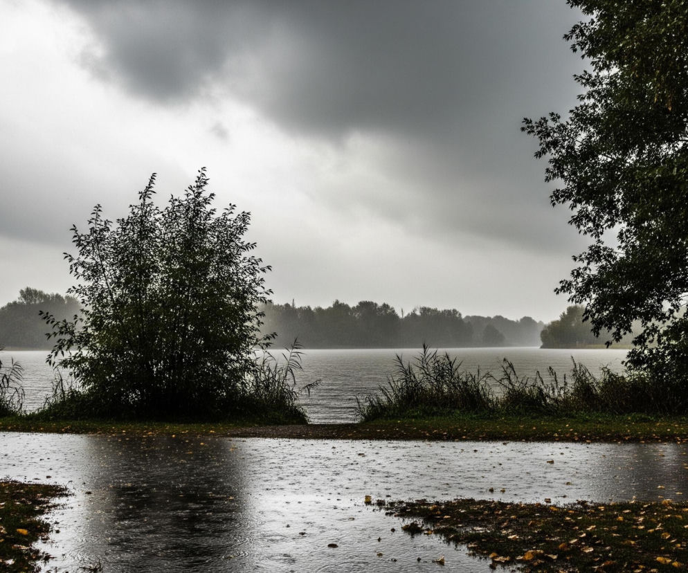 Ciemne, burzowe niebo zajmuje górną połowę obrazu, z jaśniejszymi fragmentami chmur na środku i po lewej stronie. Na dole znajduje się duża kałuża deszczu na ziemi, odbijająca jasne niebo, z licznymi kroplami wody tworzącymi okrągłe zmarszczki na powierzchni. Brzegi kałuży są pokryte trawą z rozsypanymi, jasnobrązowymi liśćmi, a tuż za nią rozciąga się ciemne, spokojne jezioro. Dwa drzewa z ciemnozielonymi liśćmi, jedno mniejsze po lewej stronie i fragment większego po prawej, oprawiają widok jeziora, za którym widać ciemną linię lasu na horyzoncie.