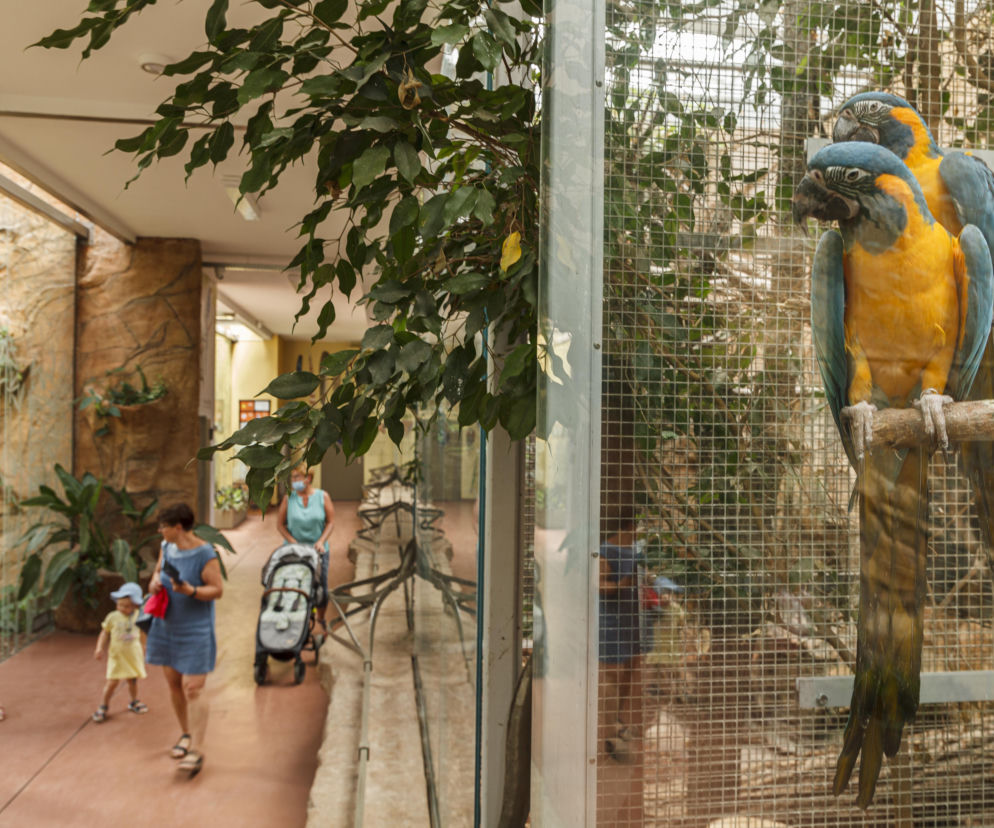 Zabytkowa ptaszarnia we wrocławskim zoo odzyskała dawny blask