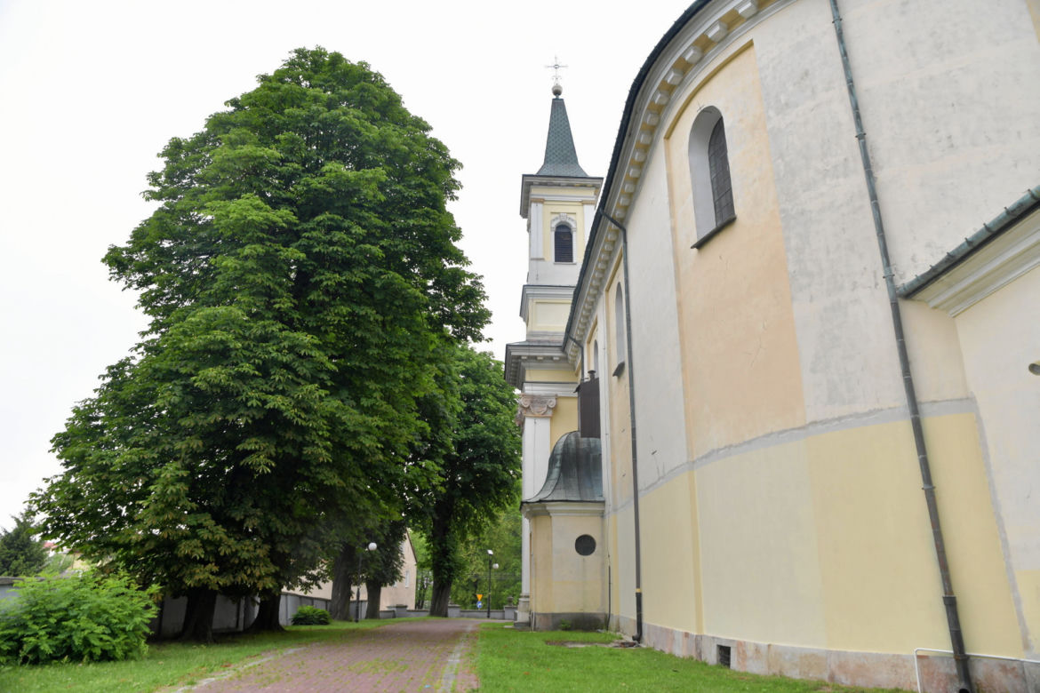 Szokująca decyzja proboszcza. Wyciął 150-letnie kasztanowce. Mieszkańcy pytają, czy to żart?