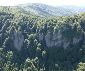Niesamowity most linowy TYLKO DLA ODWAŻNYCH