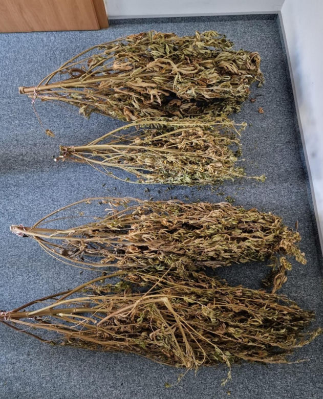 Marihuana czy nie? Internet rozbawiony wpisem policjantów z Sejn [ZDJĘCIA]