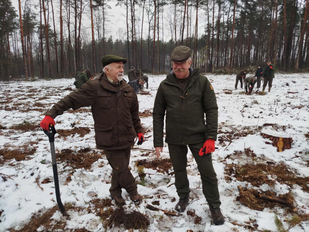 W akcji sadzenia lasu z okazji 80-lecia Nadleśnictwa Siedlce uczestniczyło ponad sto osób