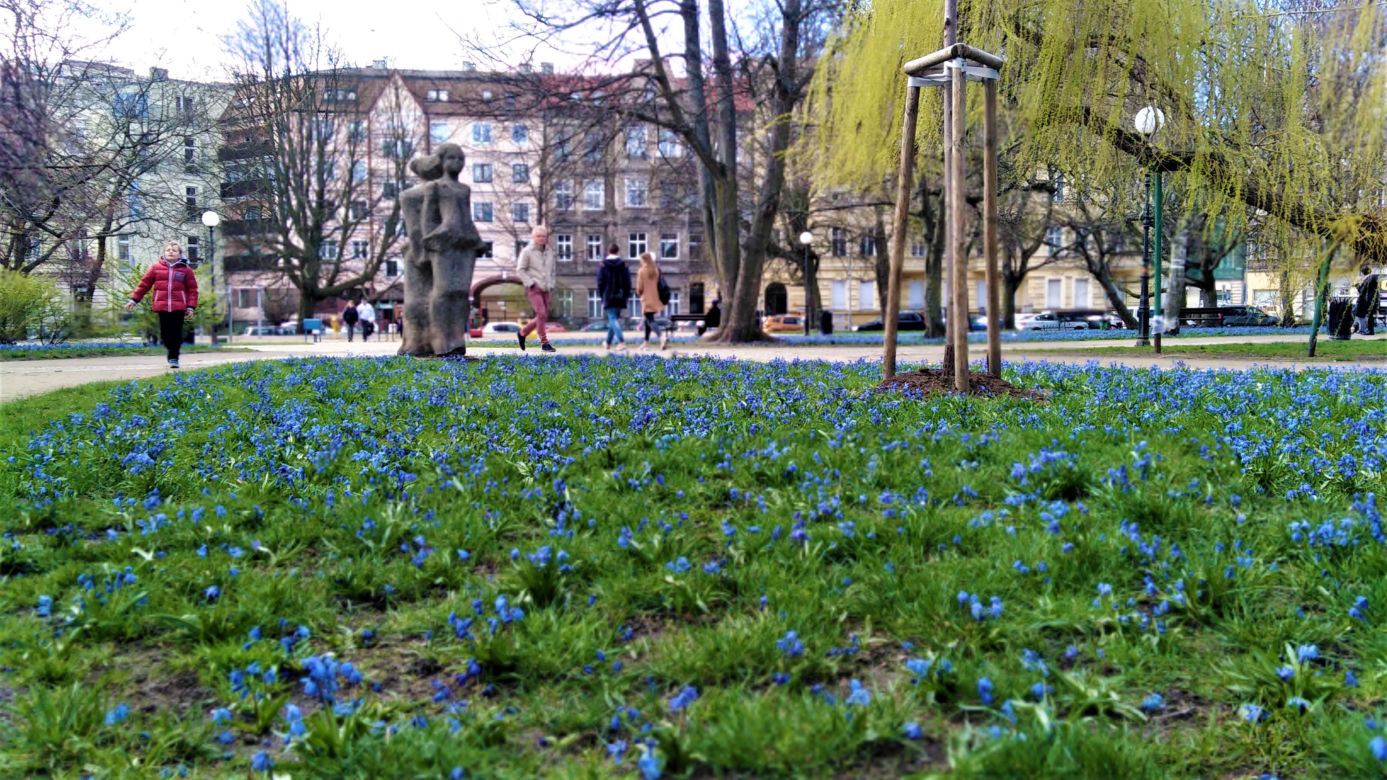 Cebulice w Szczecinie