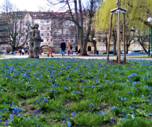 Cebulice w Szczecinie