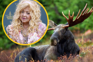 Co dalej z głową łosia? Zaskakujący finał sporu Magdy Gessler z tatrzańską restauracją