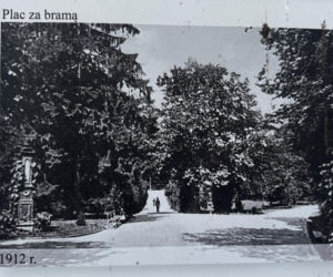 Jeden z najstarszych parków w Polsce budzi się do życia. Wiosna w Parku Saskim w Lublinie