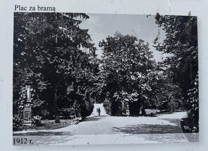 Jeden z najstarszych parków w Polsce budzi się do życia. Wiosna w Parku Saskim w Lublinie