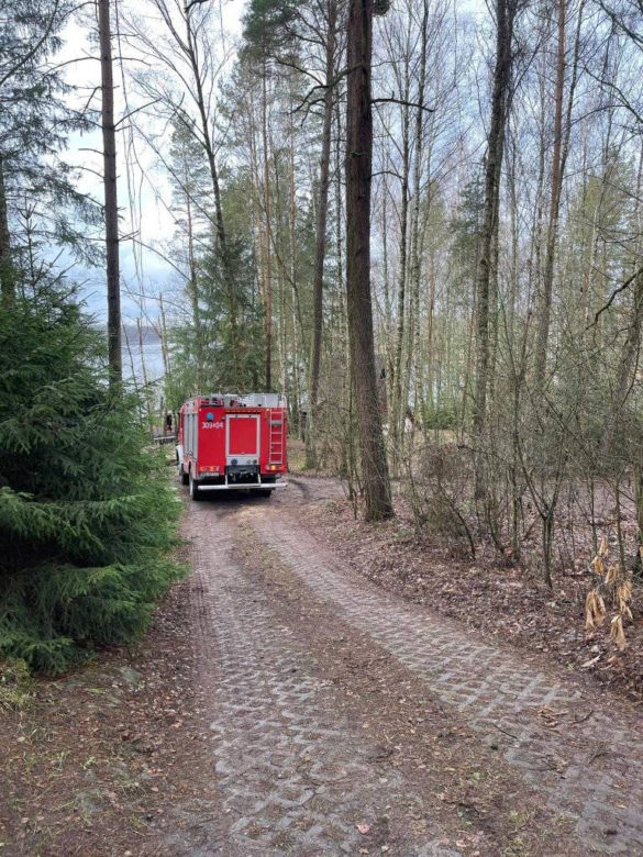 Martwy mężczyzna wisiał na drzewie! Koszmar pod Olsztynem