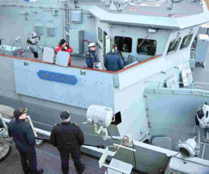 Manewry pk. Arctic Dolphin 26