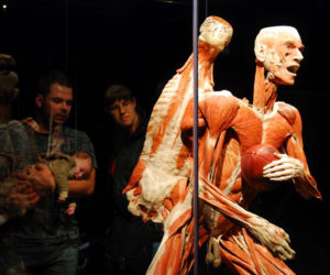 Body Worlds: Wystawa, której nigdy nie zapomnisz