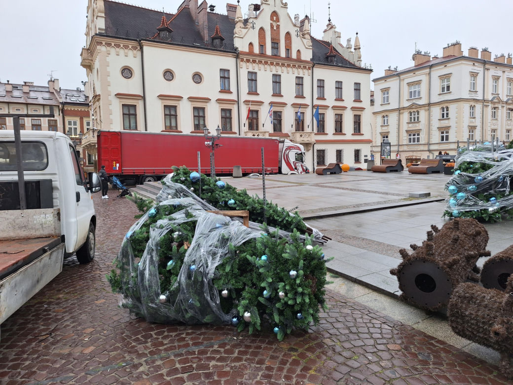 Na rzeszowskim Rynku rozpoczął się montaż świątecznej choinki 