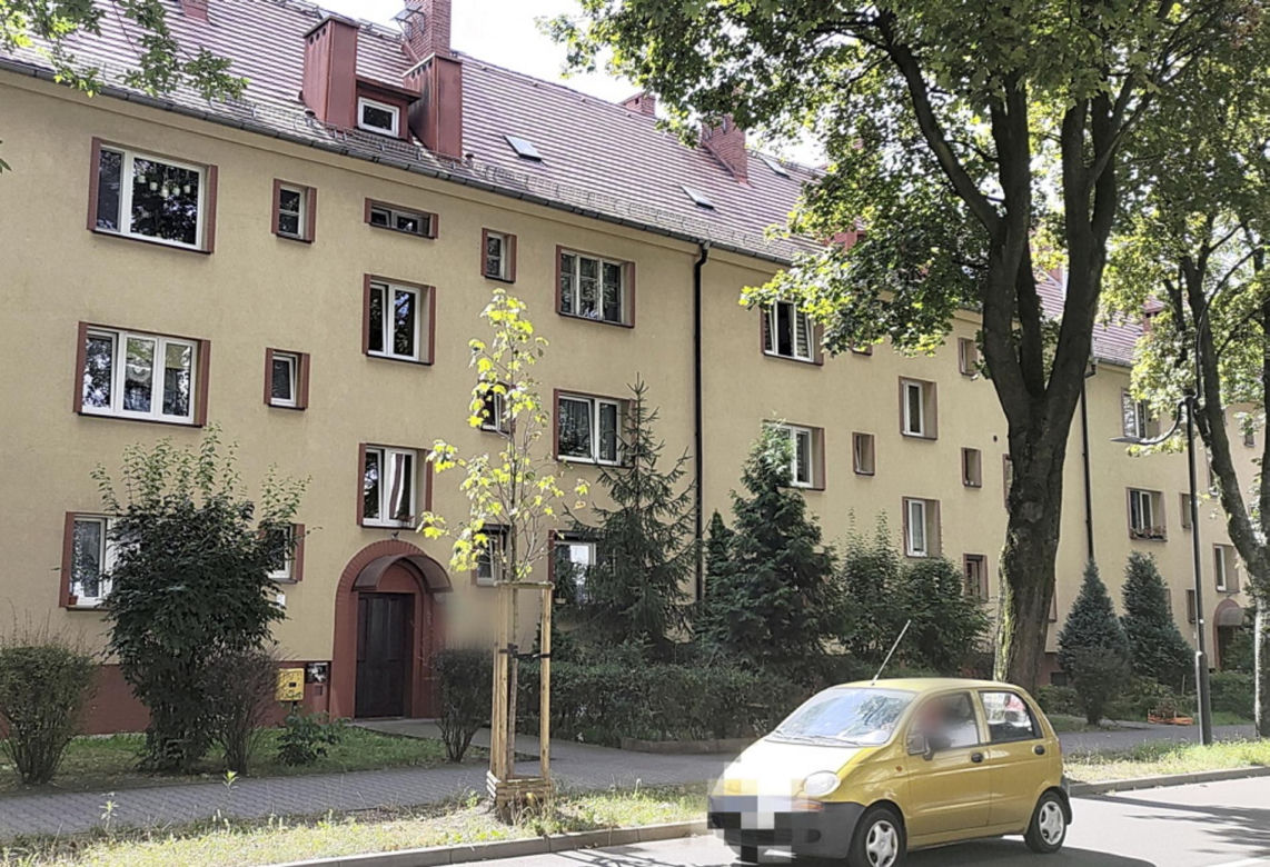 Matka z kochaną urządziły Ignasiowi piekło