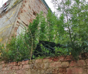 Dziesięć najbardziej wstydliwych miejsc Tarnowa. Niektóre straszą od wielu lat [CAŁA GALERIA]