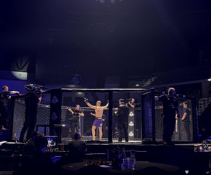 King's Arena2. Klatka i Lwy