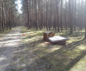 Salon w środku lasu? Ktoś postanowił nieźle się urządzić i wyrzucił śmieci. Teraz szuka go gmina!