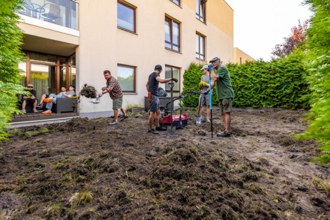 Murator Ogroduje, realizacje