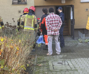 Pożar mieszkania na parterze. Strażacy z ognia wynieśli przerażonego kota