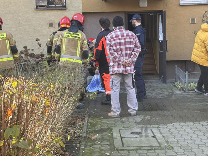 Pożar mieszkania na parterze. Strażacy z ognia wynieśli przerażonego kota
