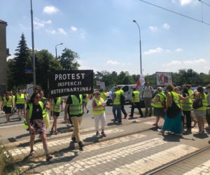 Protest pracowników Inspekcji Weterynaryjnej we Wrocławiu