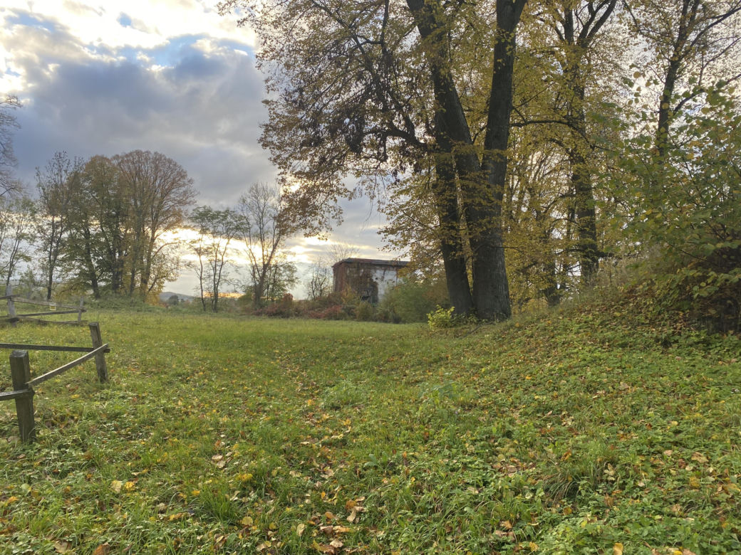 Zamek w Dąbrówce Starzeńskiej