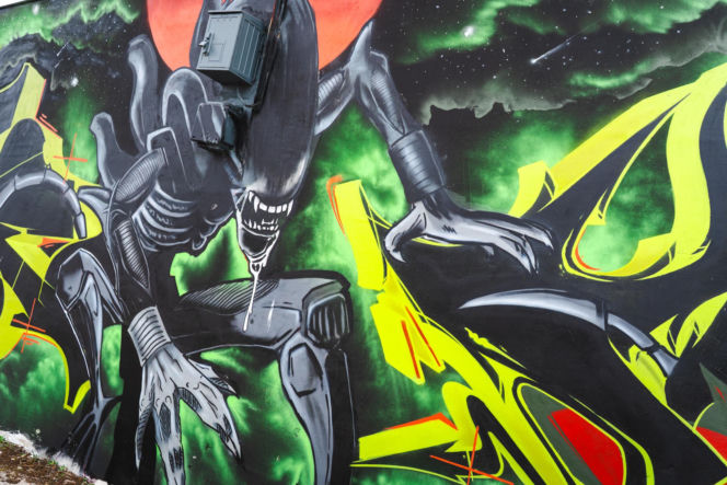 Przy ul. Mieszka I w Siedlcach można podziwiać całą galerię murali i graffiti