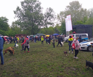 Piknik Przyjaciół Schroniska