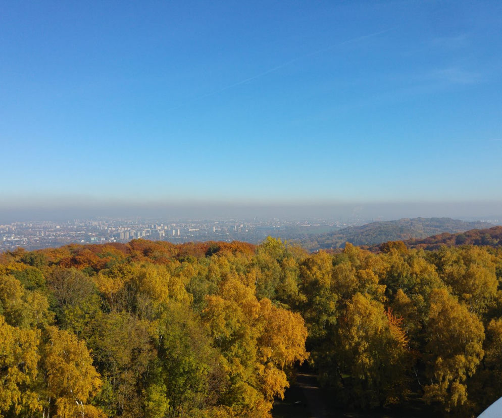 Tak prezentuje się smog nad Krakowem
