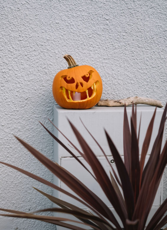 Halloween 2022