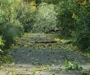 Gwałtowne wichury na Dolnym Śląsku
