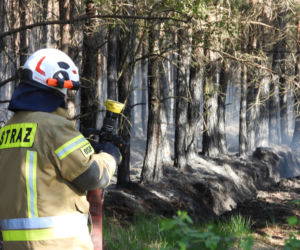 Samoloty Dromader wspierają wielką akcję gaśniczą w powiecie wołomińskim