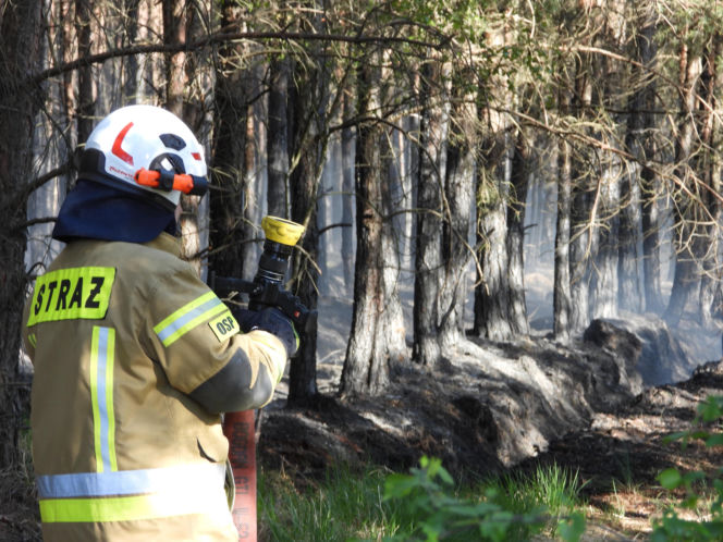 Samoloty Dromader wspierają wielką akcję gaśniczą w powiecie wołomińskim