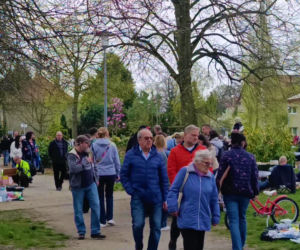 Pchli targ na Pogodnie