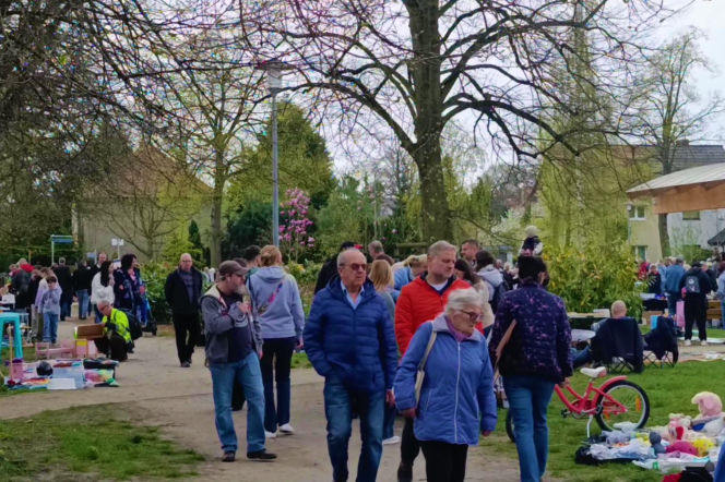 Pchli targ na Pogodnie