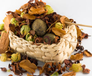 Potpourri 