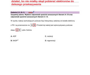 Matura z biologii odpowiedzi do ściągnięcia. PDF i JPG do pobrania